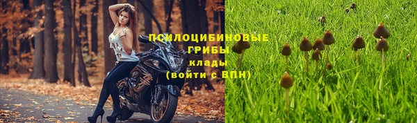 прущая мука Нягань